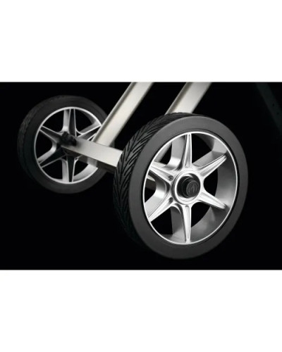 Портативний газовий гриль Napoleon TravelQ 285X