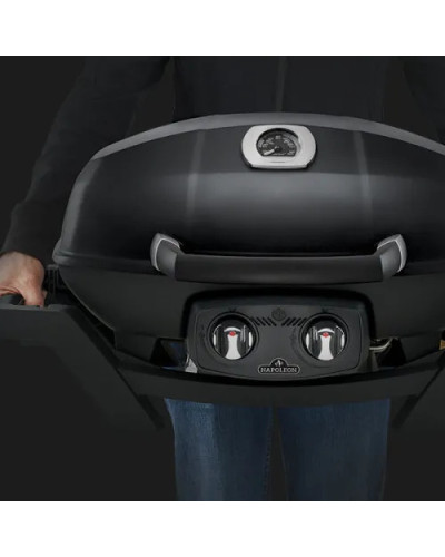 Електричний гриль Napoleon TravelQ PRO285E на підставці