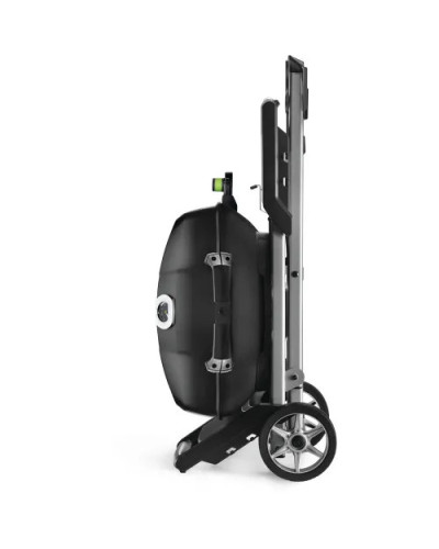 Електричний гриль Napoleon TravelQ PRO285X